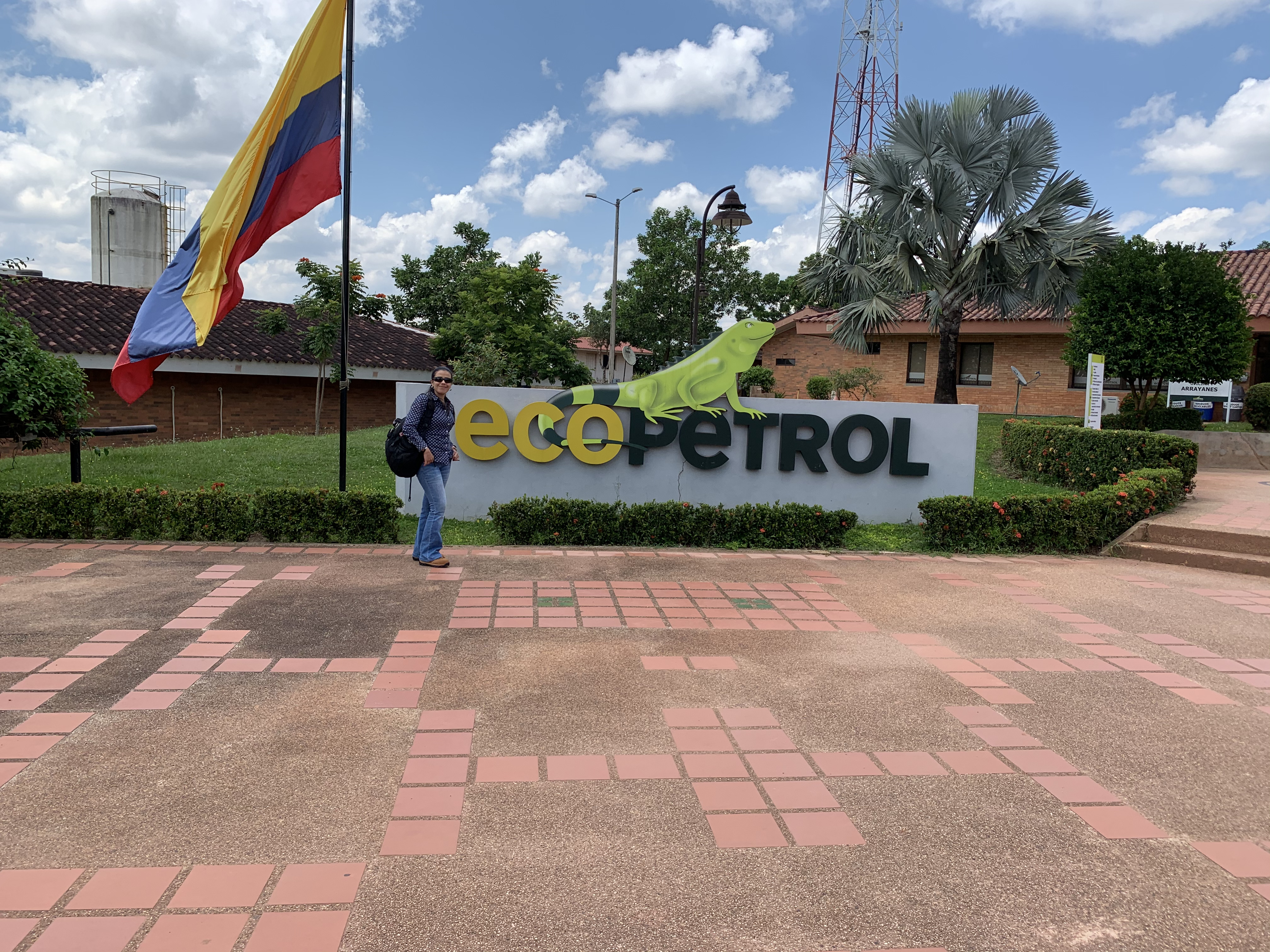 Consultoría para Empresa Ficticia Internacional